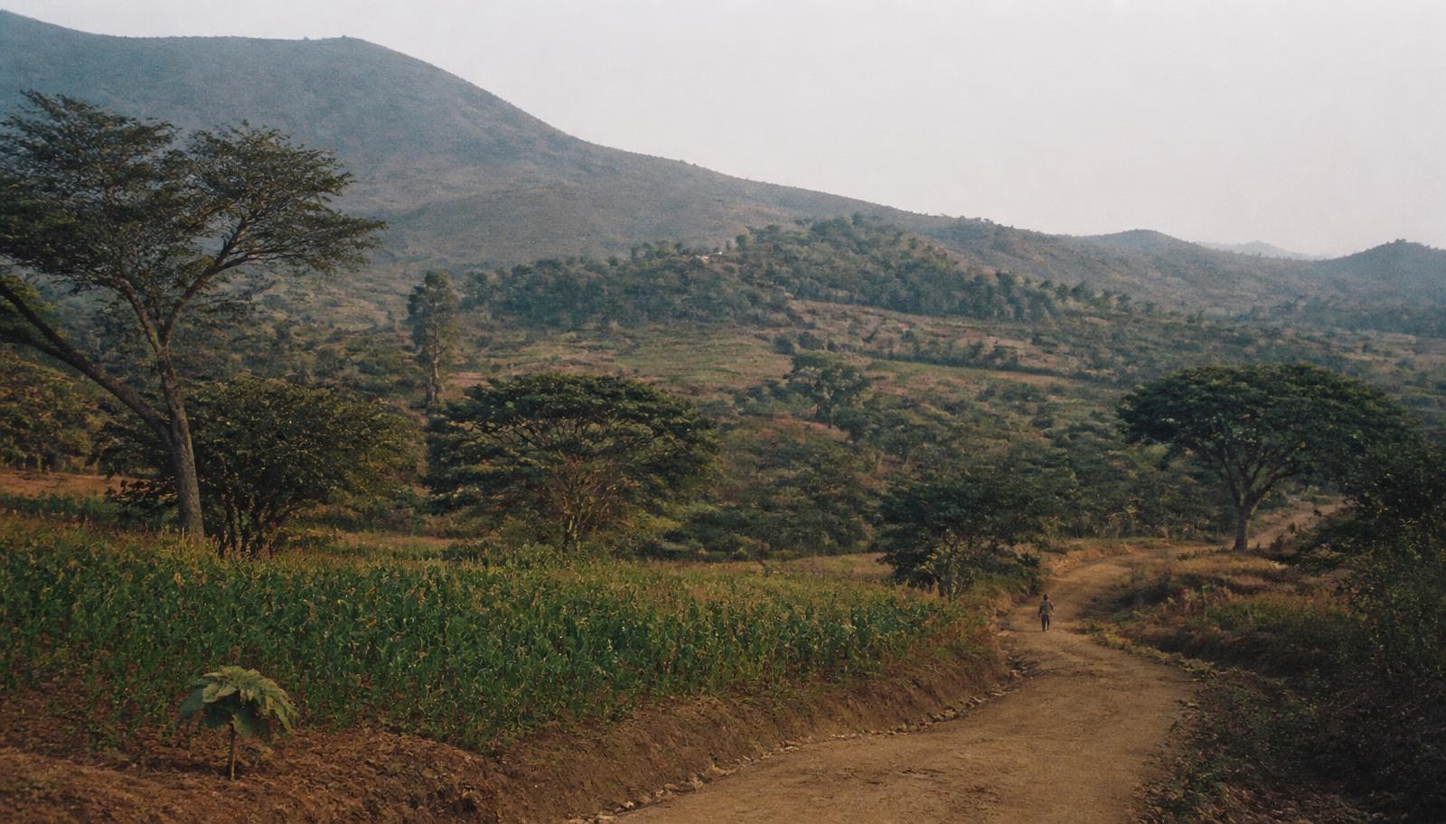 Malawi highlands at sunset